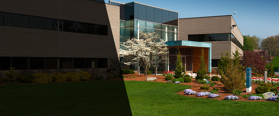 Avondale Landscapers