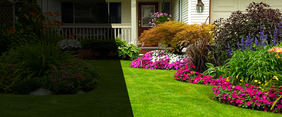 Avondale Landscapers