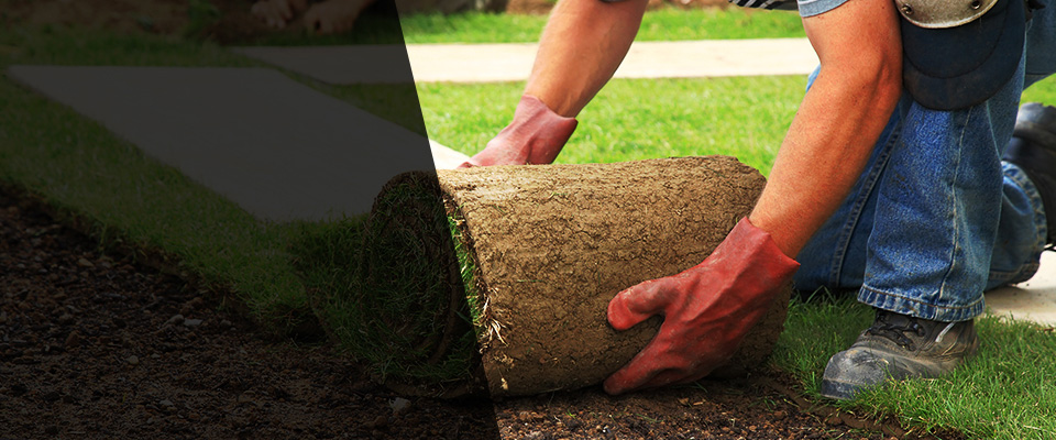 Avondale Landscapers